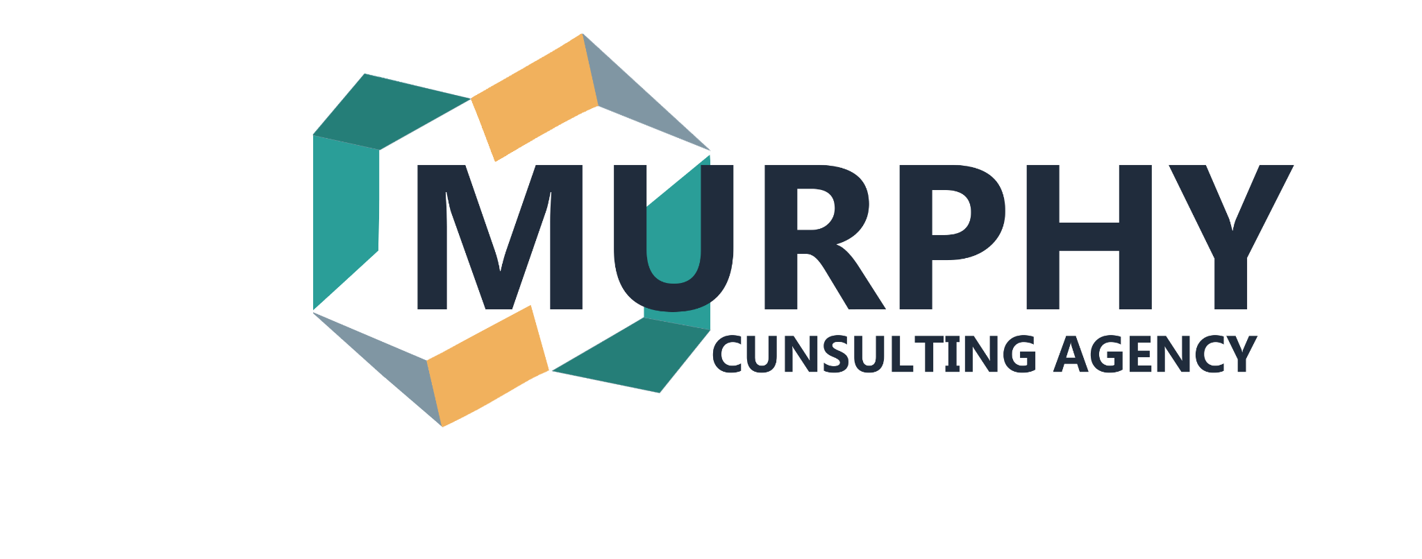 Murphy Consulting Agency